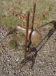 DSC01748.jpg