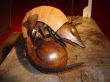 DSC02360.jpg