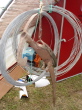 DSC00584.jpg