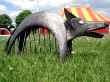 DSC00194.jpg