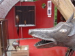 DSC00119.jpg