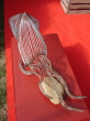 DSC01957.jpg