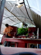 DSC00229.jpg