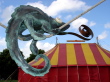 DSC00334.jpg