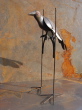 DSC02347.jpg