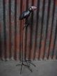 DSC01629.jpg