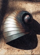 MikSpirale_1.jpg
