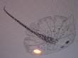 DSC02537.JPG